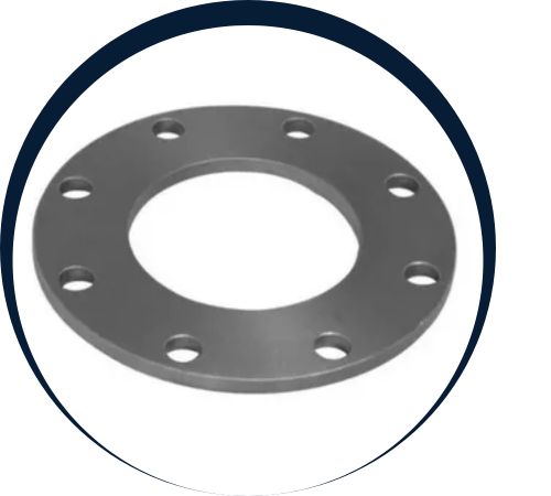 Hastelloy Plate Flanges in uae